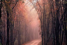 [CBA]宁波加时胜天津 队史首次单赛季胜场上双.