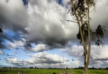 52分10板8助5断！库里刷爆NBA纪录，科尔盛赞吉巴，湖勇大战可期.